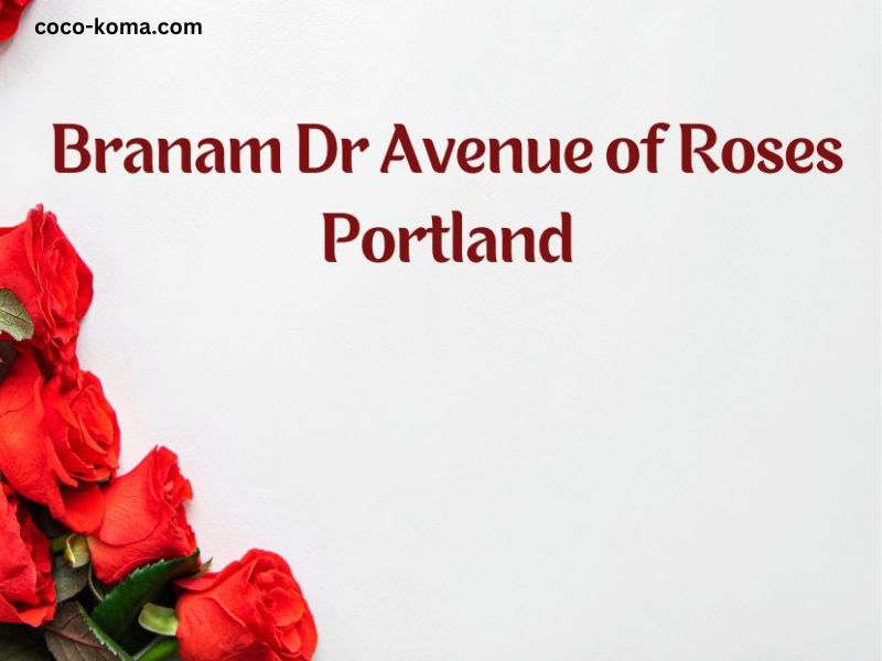 Branam Dr Avenue of Roses Portland